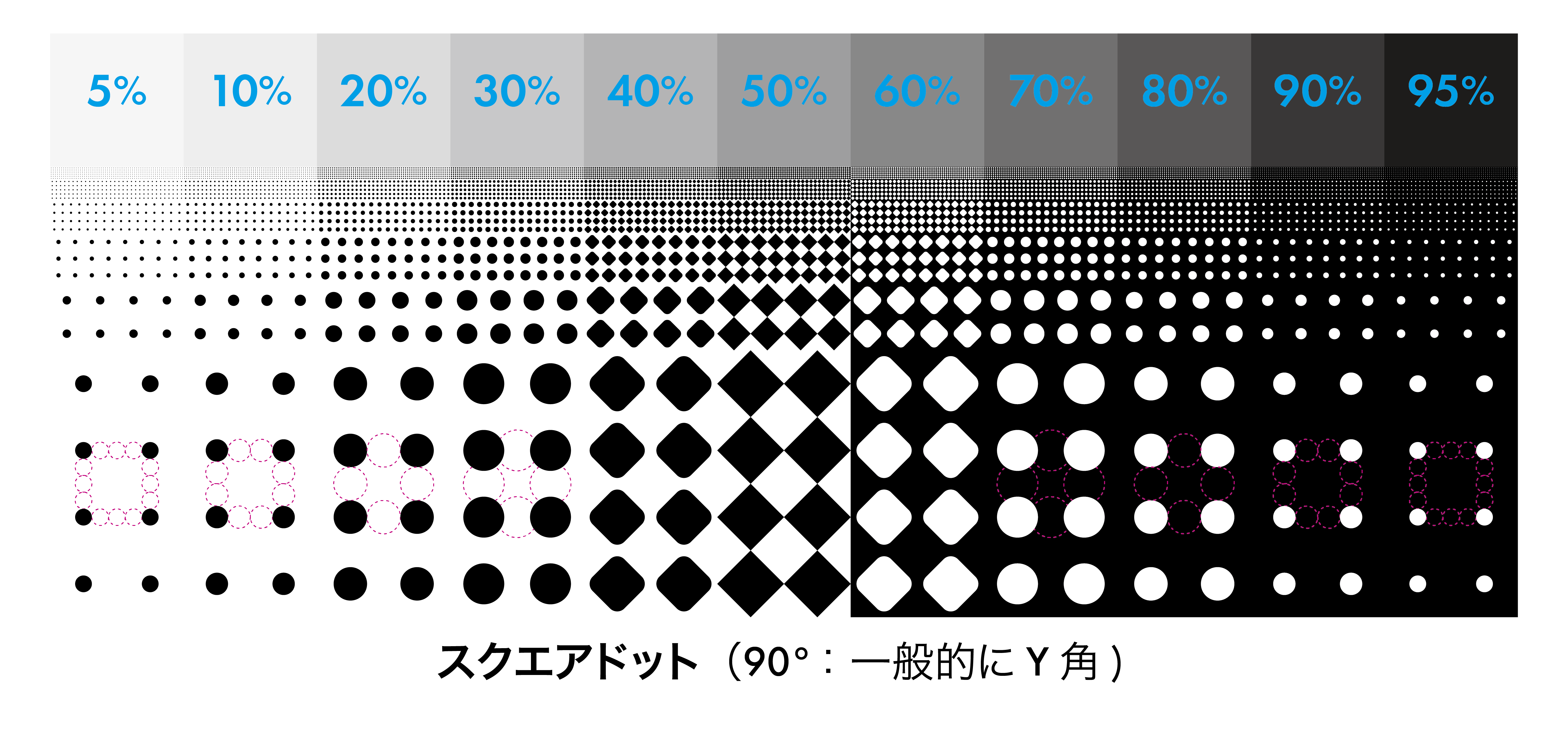 パンドラのDTP